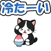 冷たーい