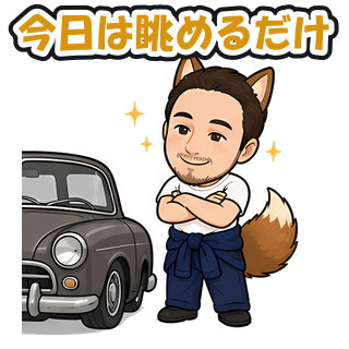 今日は眺めるだけ