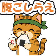 腹ごしらえ