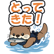 とってきた!