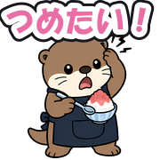 つめたい!