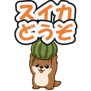 スイカどうぞ