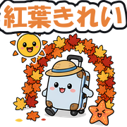 紅葉きれい