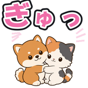 ぎゅっ