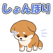 しょんぼり