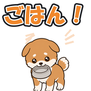 ごはん!
