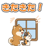 きたきた!