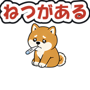 ねつがある