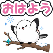 おはよう