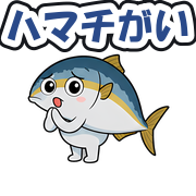 ハマチがい
