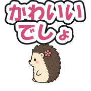 かわいいでしょ