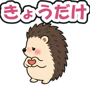 きょうだけ