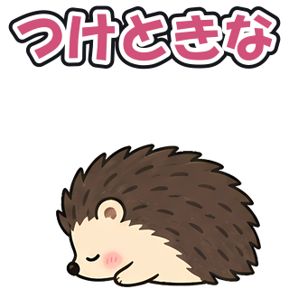 つけときな