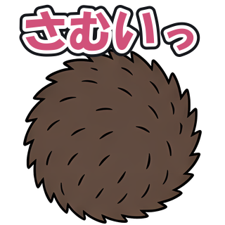 さむいっ