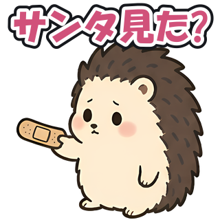サンタ見た?