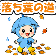 落ち葉の道